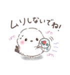夏の一言❤️ふわもちシマエナガNo19❤️（個別スタンプ：14）