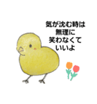 ヒヨコの日常ごっこ（個別スタンプ：1）