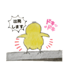 ヒヨコの日常ごっこ（個別スタンプ：28）