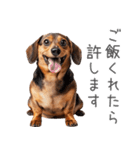 太ってるダックス。（個別スタンプ：4）