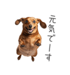 太ってるダックス。（個別スタンプ：7）