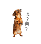 太ってるダックス。（個別スタンプ：17）