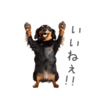 太ってるダックス。（個別スタンプ：18）