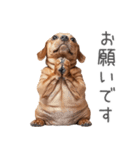 太ってるダックス。（個別スタンプ：20）