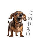 太ってるダックス。（個別スタンプ：21）