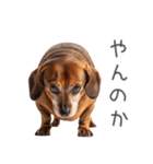 太ってるダックス。（個別スタンプ：28）