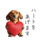太ってるダックス。（個別スタンプ：32）