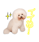祝原家のうにちゃん（個別スタンプ：6）