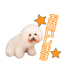 祝原家のうにちゃん（個別スタンプ：8）