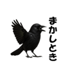 関西弁のリアルなカラス@日常会話（個別スタンプ：10）