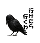 関西弁のリアルなカラス@日常会話（個別スタンプ：18）