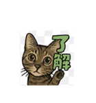 にゃんにゃんスタンプ（1）（個別スタンプ：4）