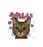 にゃんにゃんスタンプ（1）（個別スタンプ：5）
