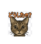 にゃんにゃんスタンプ（1）（個別スタンプ：6）