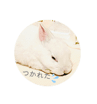 シンプルもっちゃん2（個別スタンプ：1）