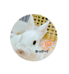 シンプルもっちゃん2（個別スタンプ：2）