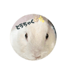 シンプルもっちゃん2（個別スタンプ：5）