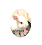 シンプルもっちゃん2（個別スタンプ：8）