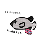 魚スタンプ番外編老成魚、稚魚（個別スタンプ：2）