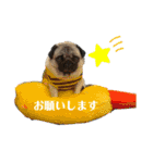 パクの高木‪‪❤︎‬（個別スタンプ：1）