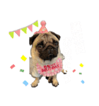 パクの高木‪‪❤︎‬（個別スタンプ：12）