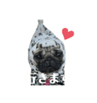 パクの高木‪‪❤︎‬（個別スタンプ：14）