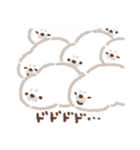 あざらし ときどき くま（個別スタンプ：40）