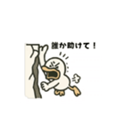 動くガーガーアヒル先輩②（個別スタンプ：1）