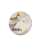 動くもっちゃん（個別スタンプ：2）
