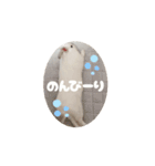 動くもっちゃん（個別スタンプ：3）