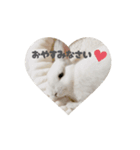 動くもっちゃん（個別スタンプ：5）