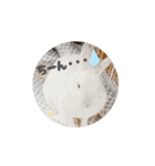 動くもっちゃん（個別スタンプ：6）