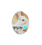 動くもっちゃん（個別スタンプ：9）