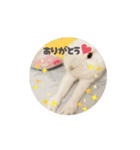 動くもっちゃん（個別スタンプ：12）