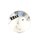 動くもっちゃん（個別スタンプ：16）