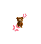 ポメプーひまわり（個別スタンプ：3）