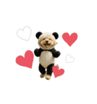 ポメプーひまわり（個別スタンプ：13）