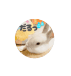 上から目線の動くもちさん（個別スタンプ：2）