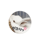 上から目線の動くもちさん（個別スタンプ：5）
