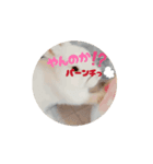 上から目線の動くもちさん（個別スタンプ：6）