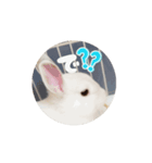上から目線の動くもちさん（個別スタンプ：7）