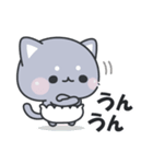 おぱんつにゃんこ（個別スタンプ：8）