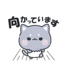 おぱんつにゃんこ（個別スタンプ：11）