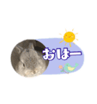 しゅたんぷ4改（個別スタンプ：1）