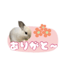 しゅたんぷ4改（個別スタンプ：5）