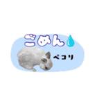 しゅたんぷ4改（個別スタンプ：6）