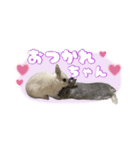 しゅたんぷ4改（個別スタンプ：8）