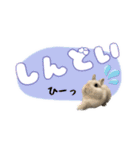 しゅたんぷ4改（個別スタンプ：9）