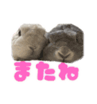 しゅたんぷ4改（個別スタンプ：11）