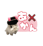 しゅたんぷ4改（個別スタンプ：12）